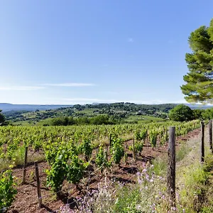 Park Castellet Provence - Dans Les Vignes Aoc Bandol à 15 Min Des Plages Et Du Circuit Paul Ricard F1 Hébergement de vacances
